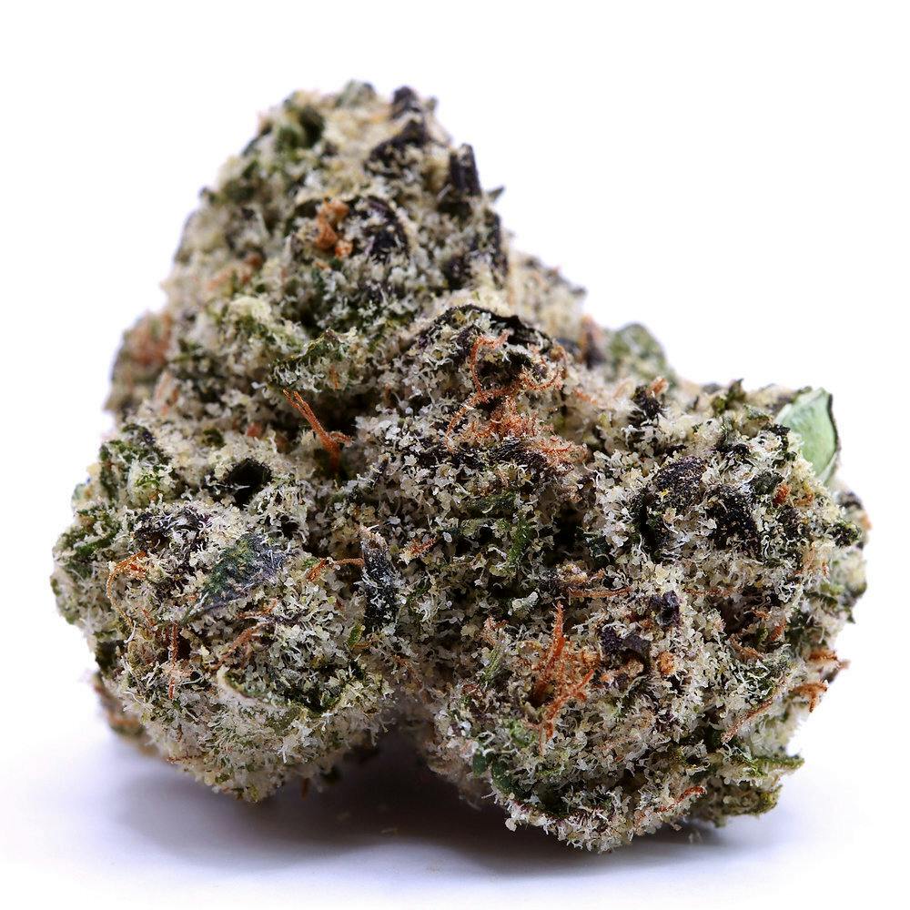 GMO X Sherb Crasher | Smalls | 1g