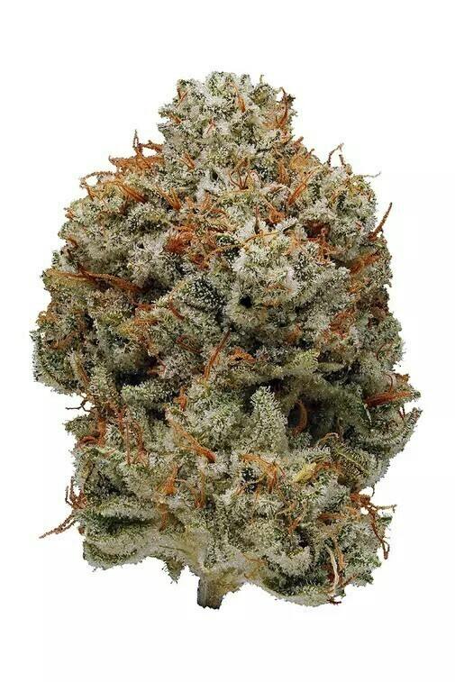 Superglue | 28g