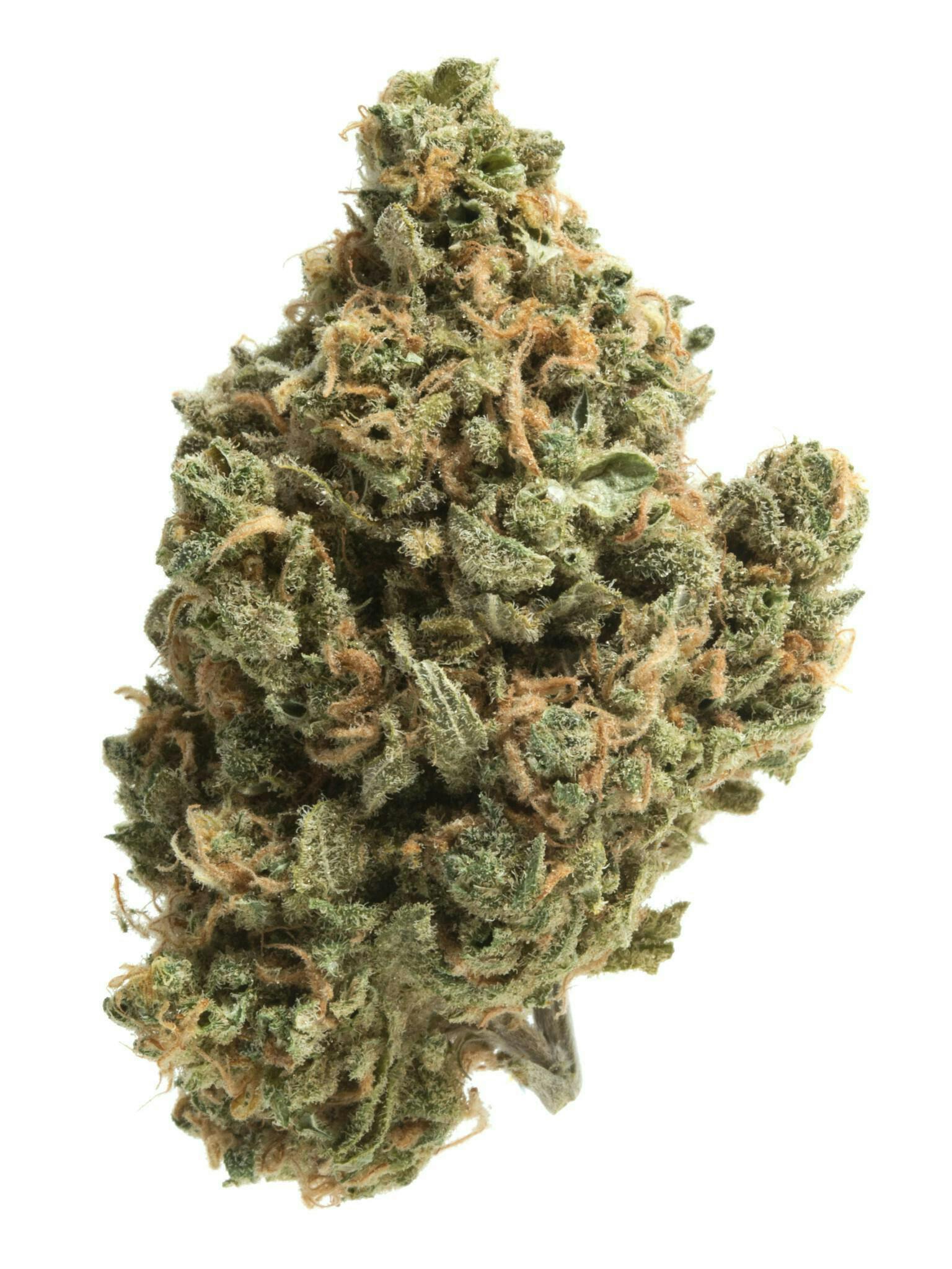 FRUITSTRIPEZ | 28g