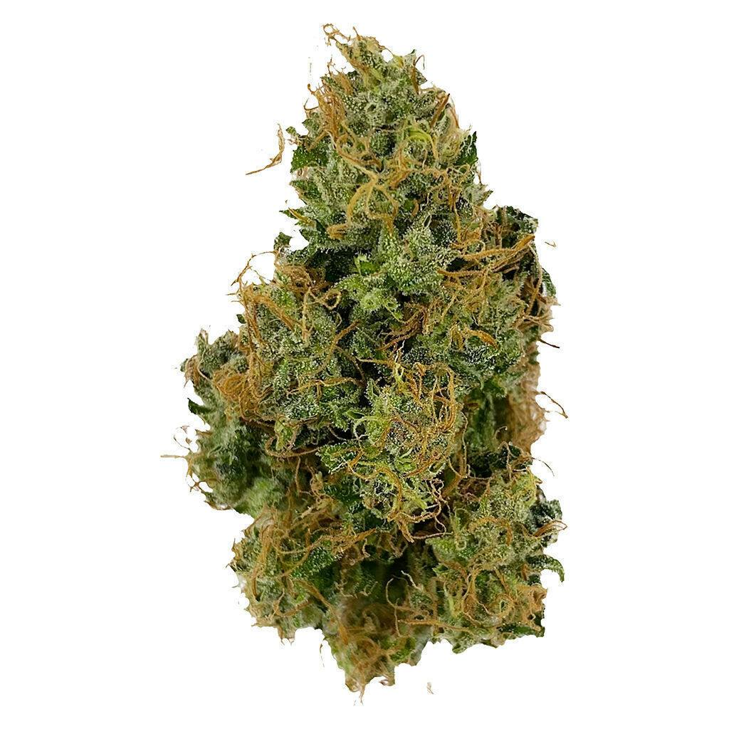 Afghani Bullrider | 3.5g