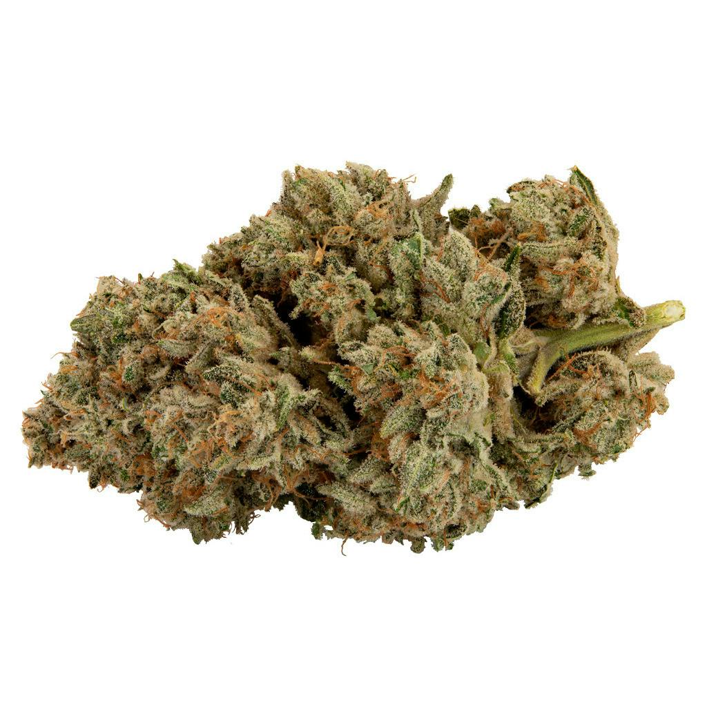 KK Mints | Smalls | 14g