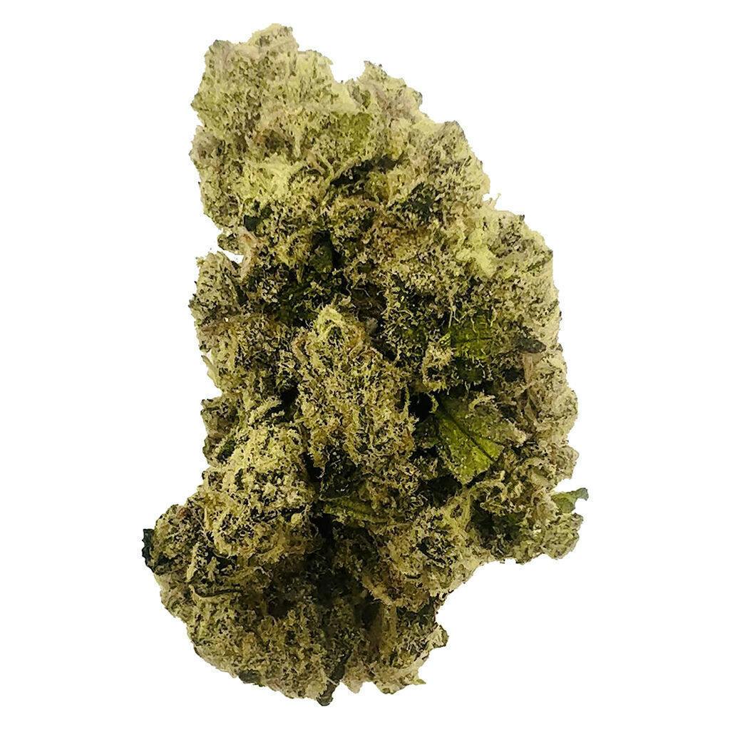 Jellysickle | 7g