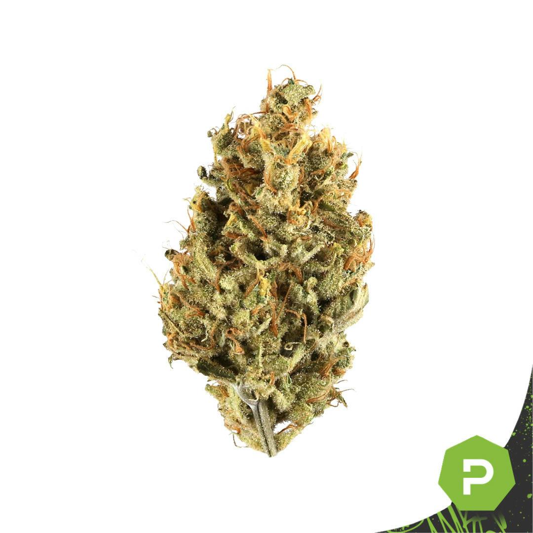 Lemon Citron | 1g