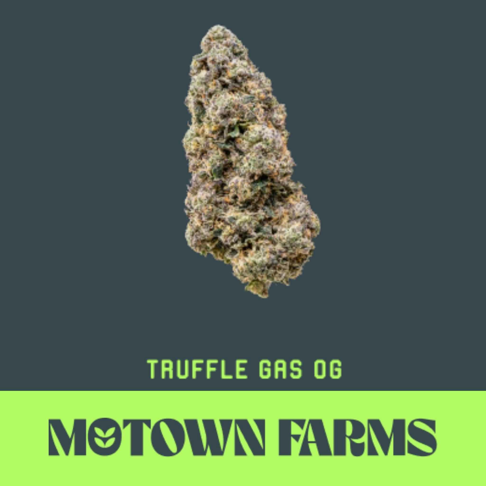 Truffle Gas OG | 1g