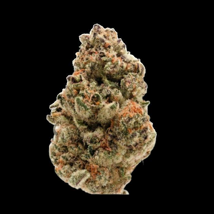 Merlin's Nightshade | Smalls | 1g