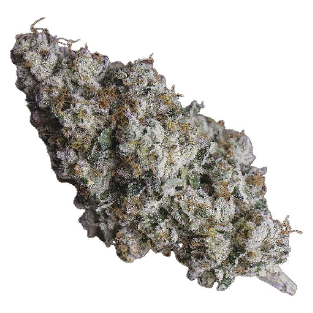 91 Royale | 7g