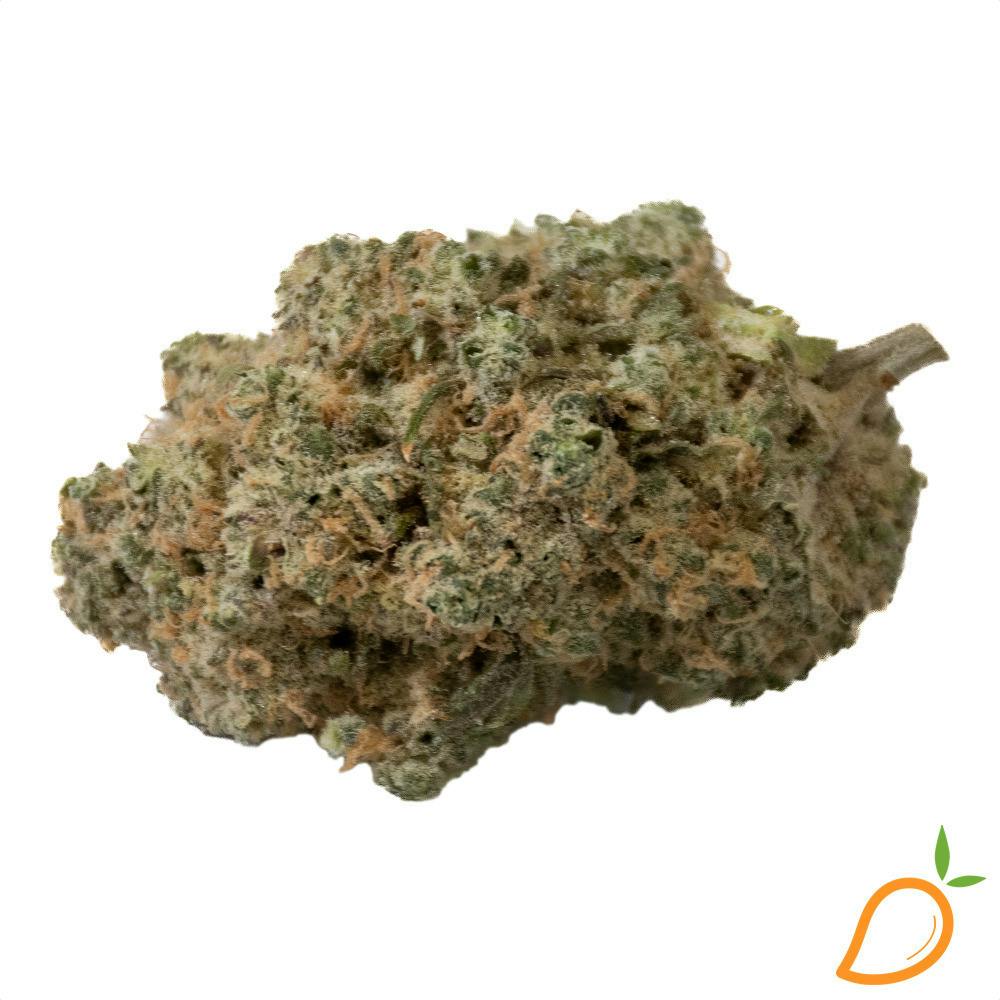 Hypnotik | 1g