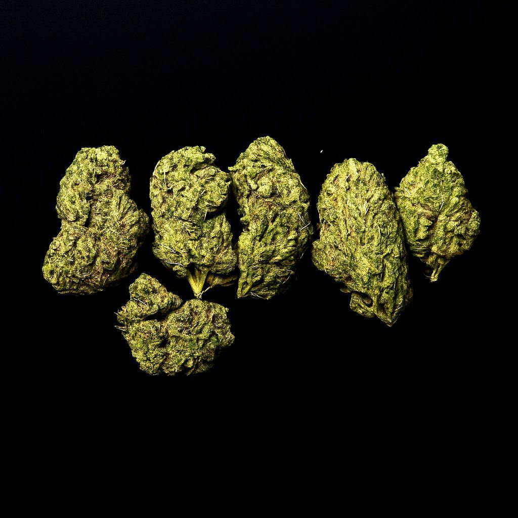 Snow G | 28g