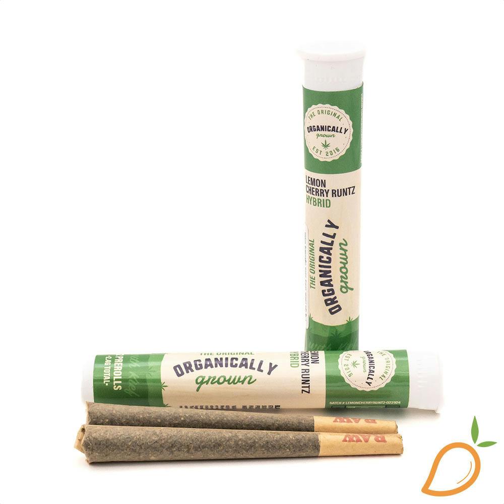 Rainbow Zangria | Infused Joints | 1.2g | 2pk