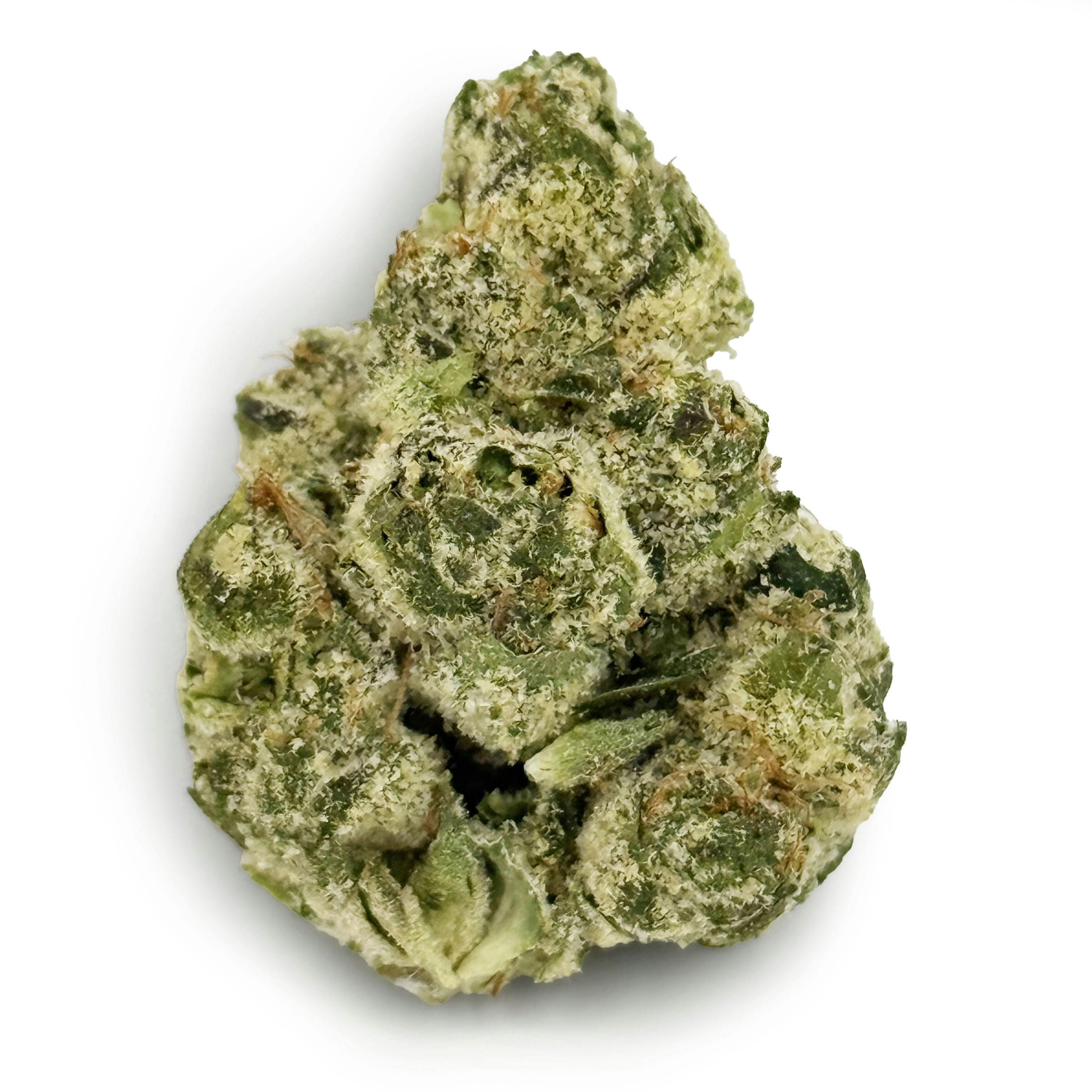 Mocha Runtz | 1g