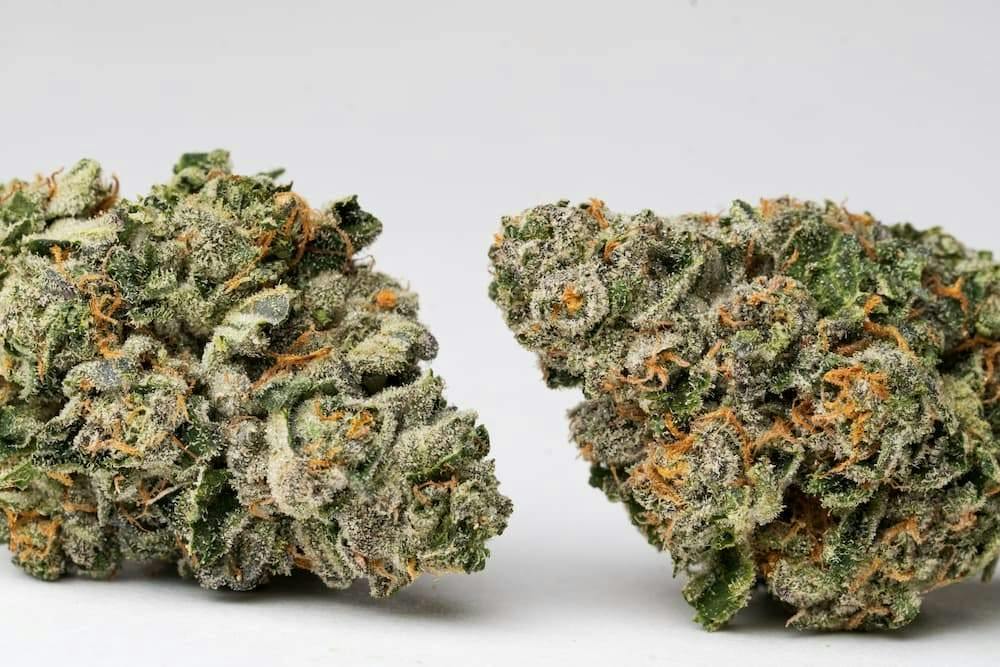 Sour Runtz | 1g