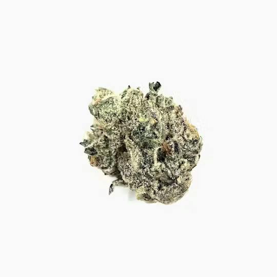 Lava Cake | 1g