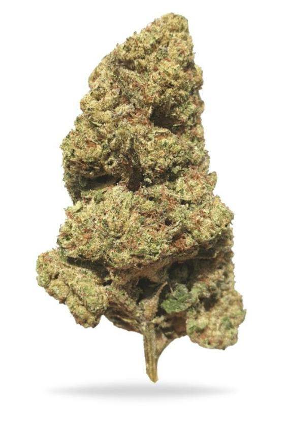 Blue Slush | 1g