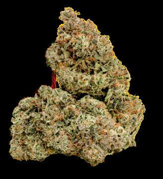 Blue Bugatti | Smalls | 1g