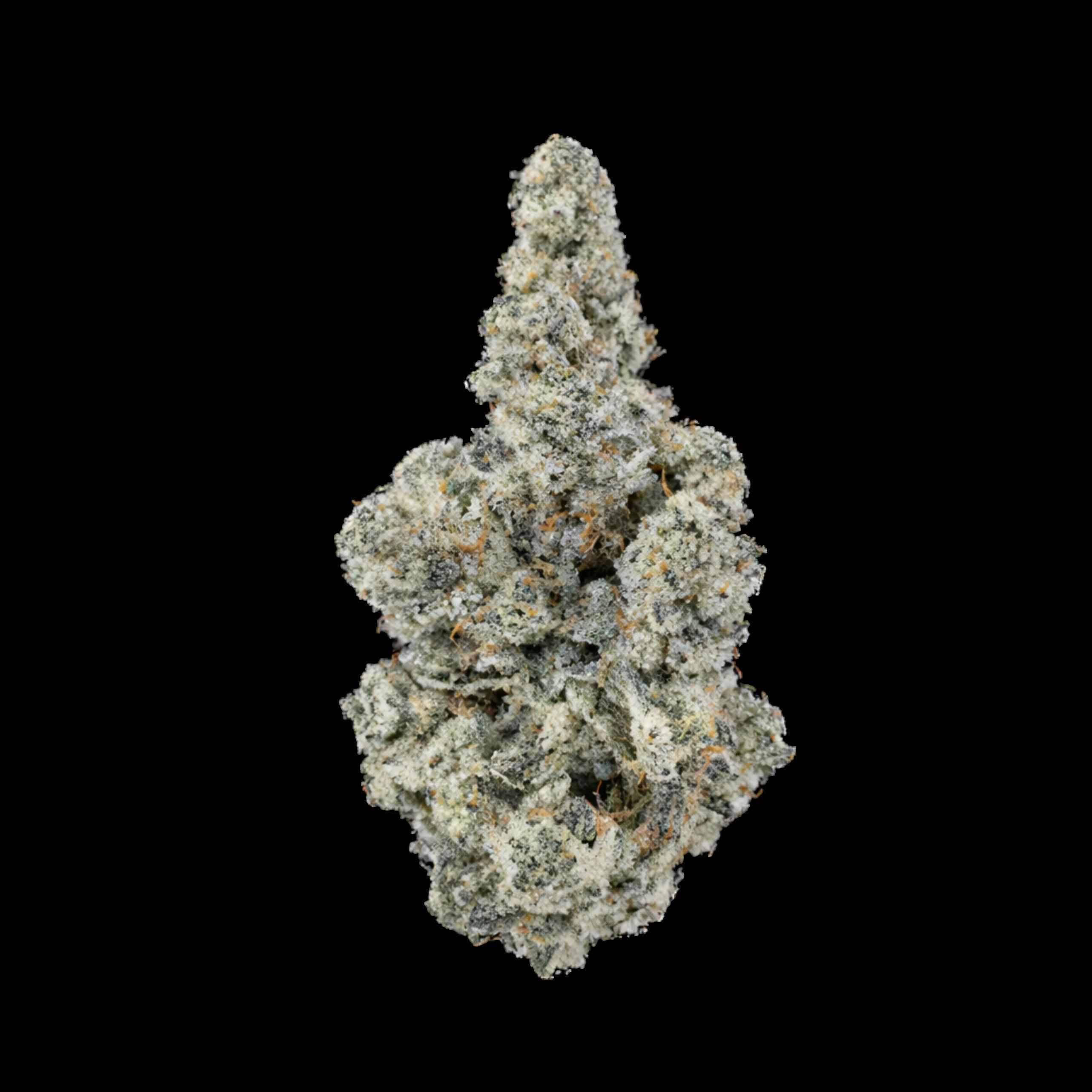 Turbo Sangria | Big Buds | 1g