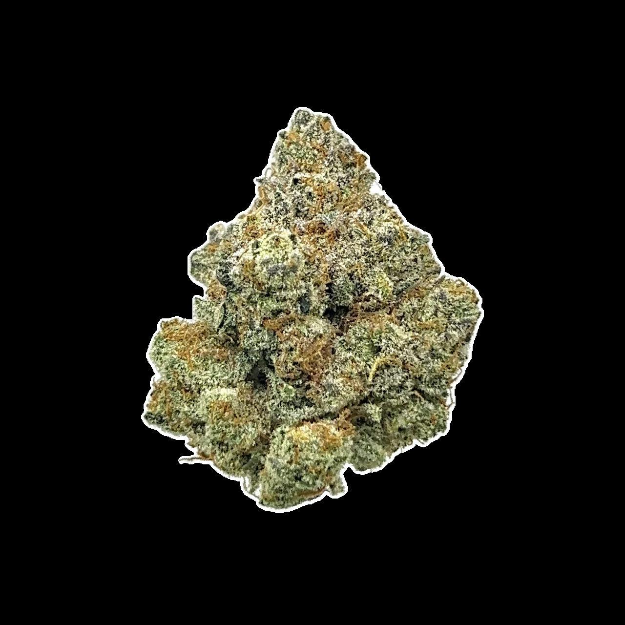 Animal Cookies | 1g