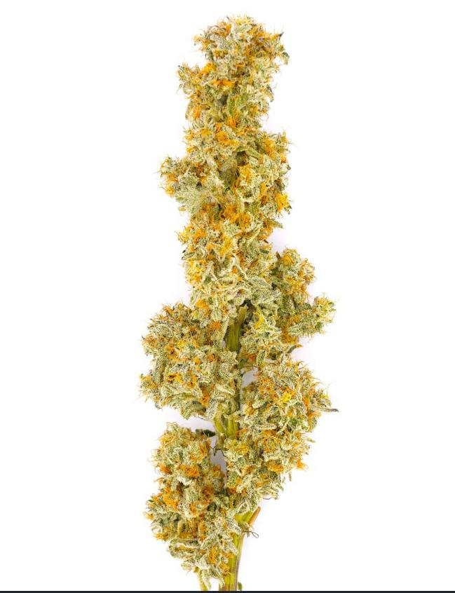 Miracle Alien Cookies | 3.5g