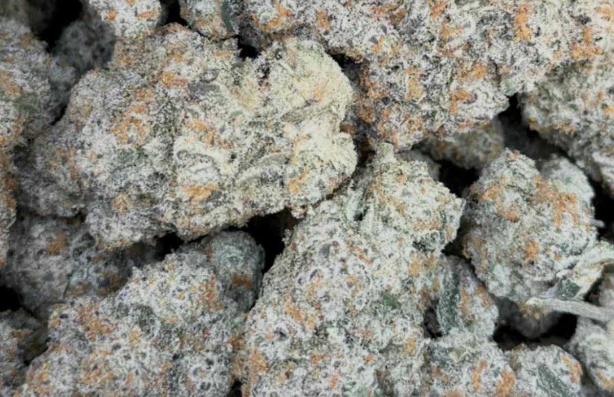 Majestic | Smalls | 3.5g