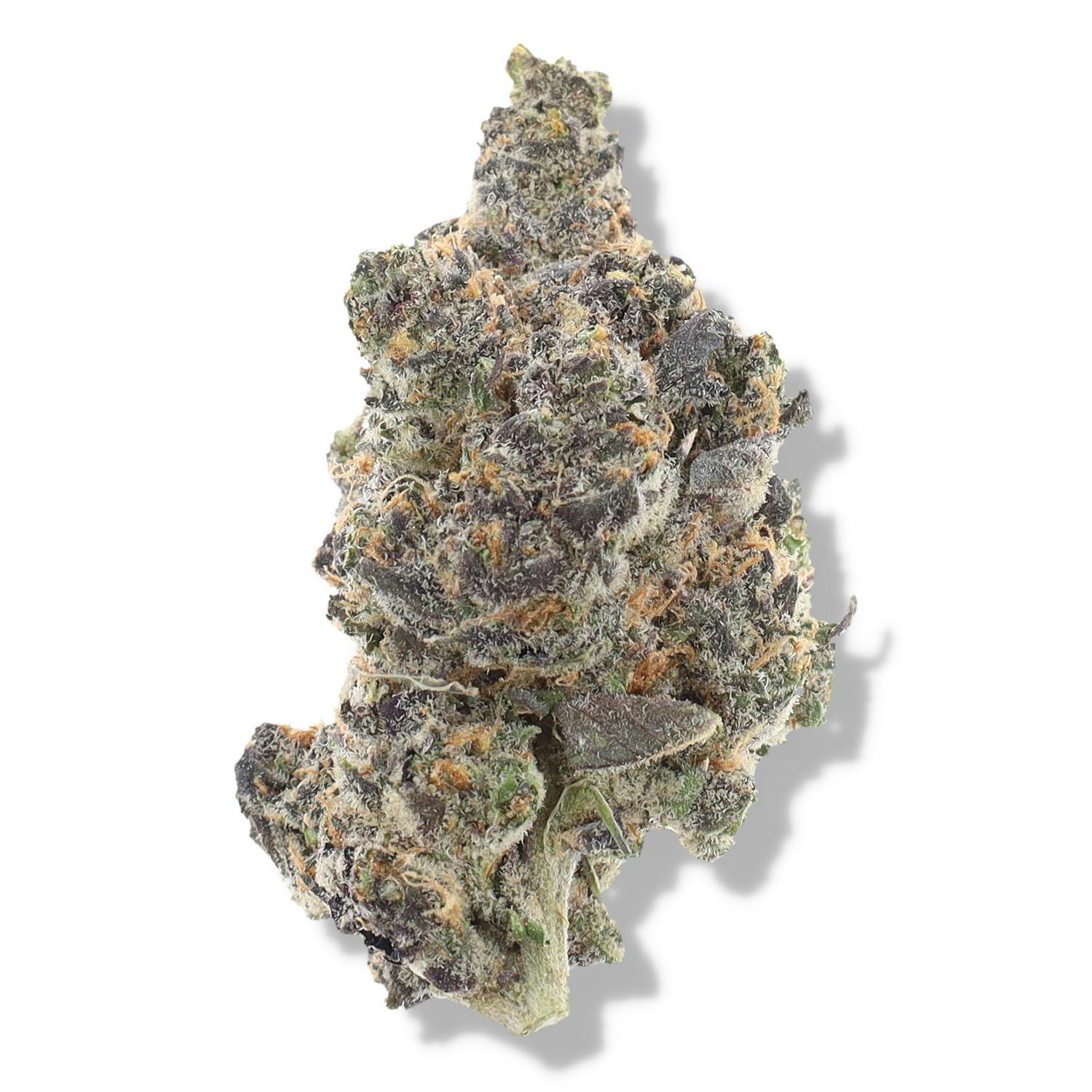 Cherry Fritter | 1g