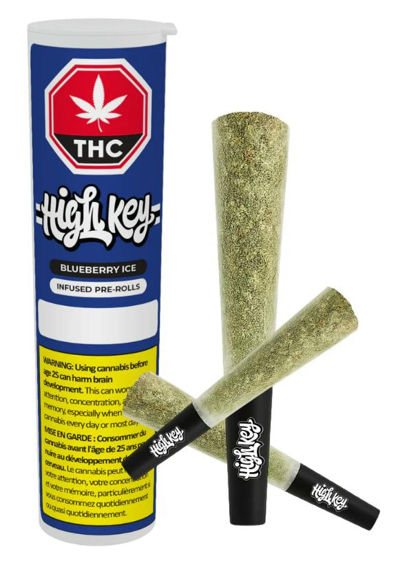 Blueberry Ice | Infused Joints | 0.75g | 3pk
