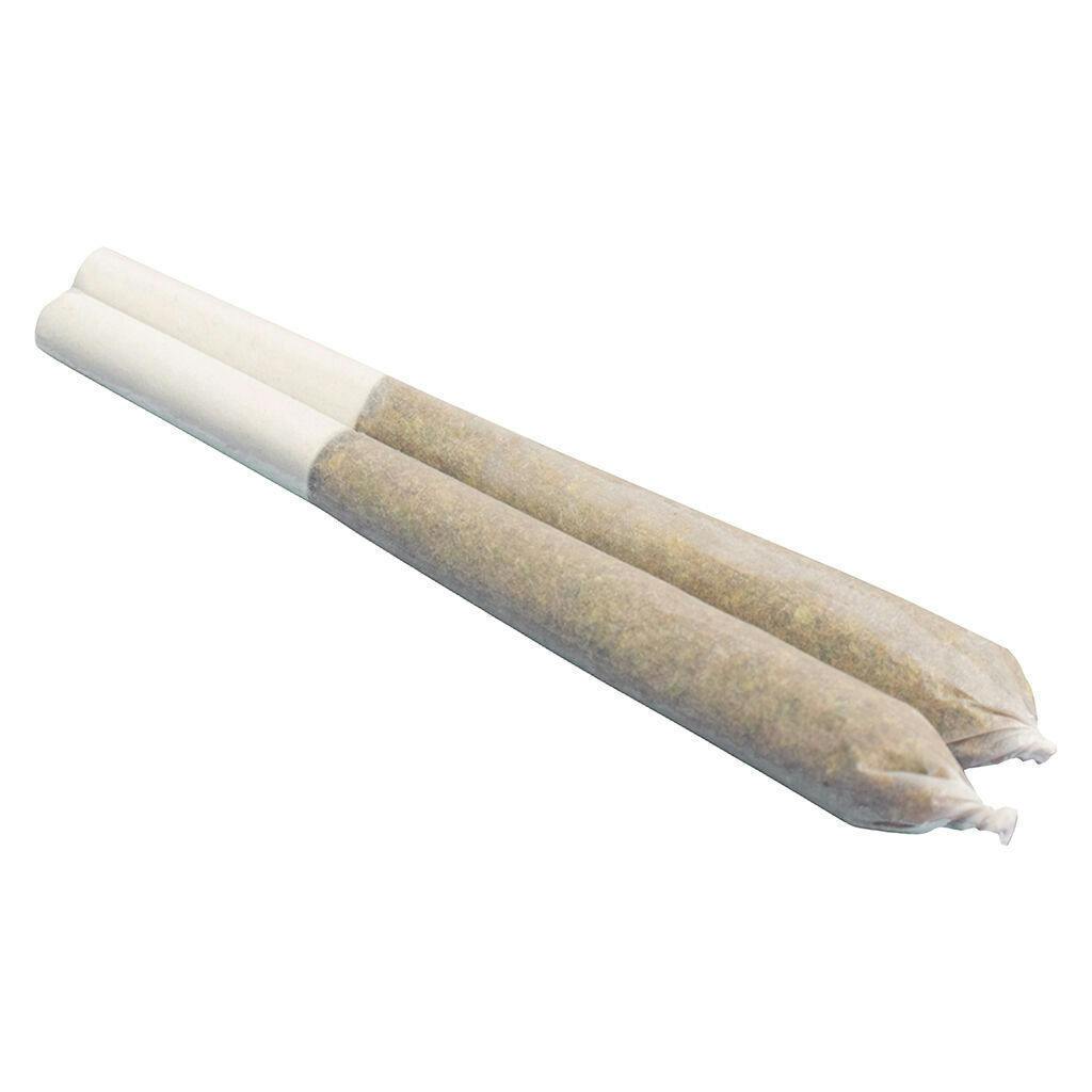 Gastro Pop | Infused Joints | 0.6g | 2pk