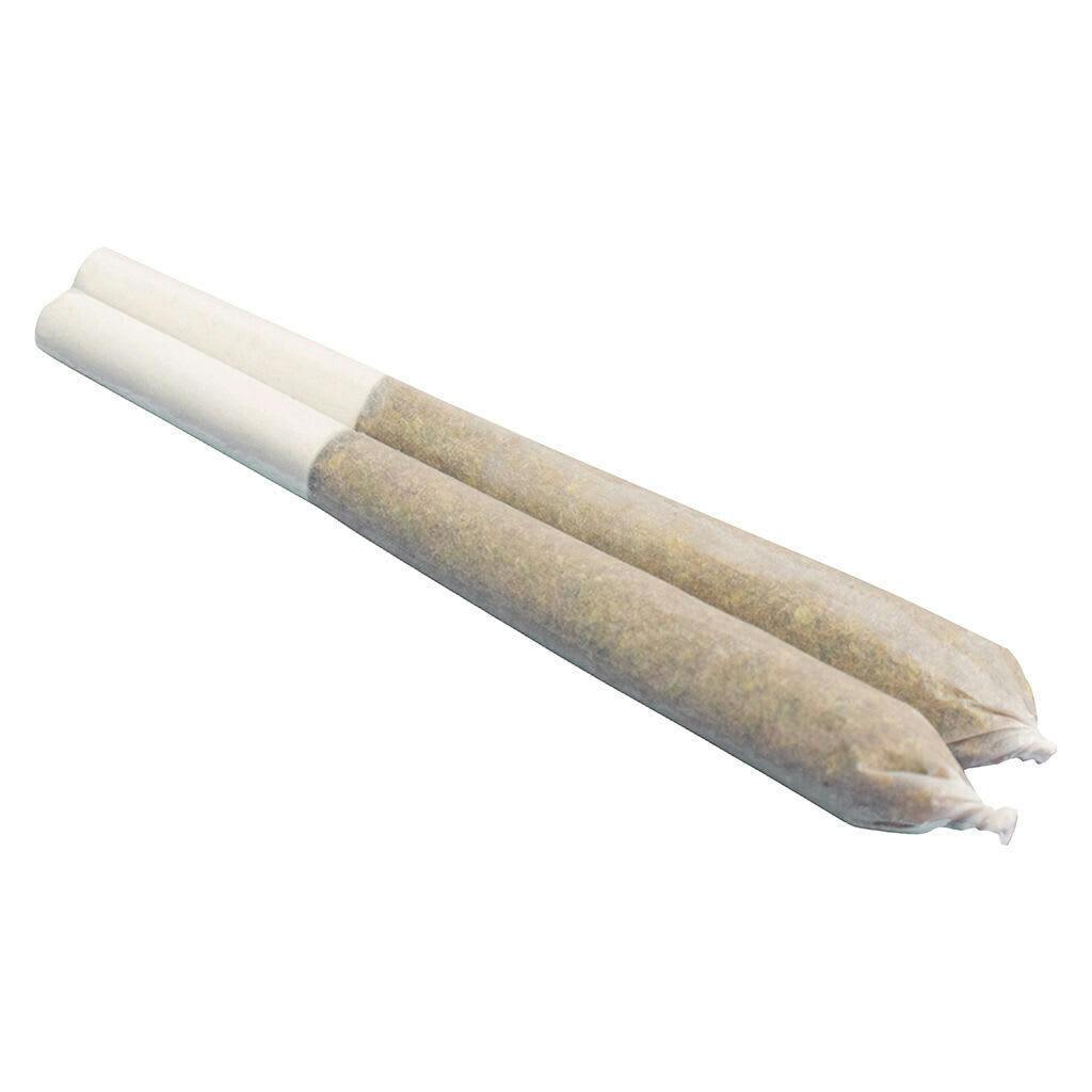 Gastro Pop | Infused Minis | 0.6g | 2pk
