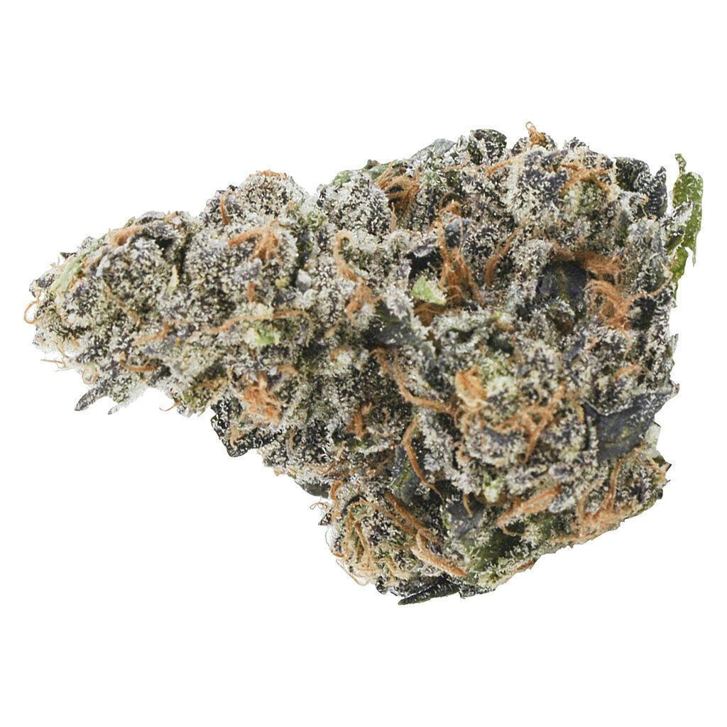 Gastro Pop | 14g