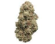 Root Beer MAC | Big Buds | 14g