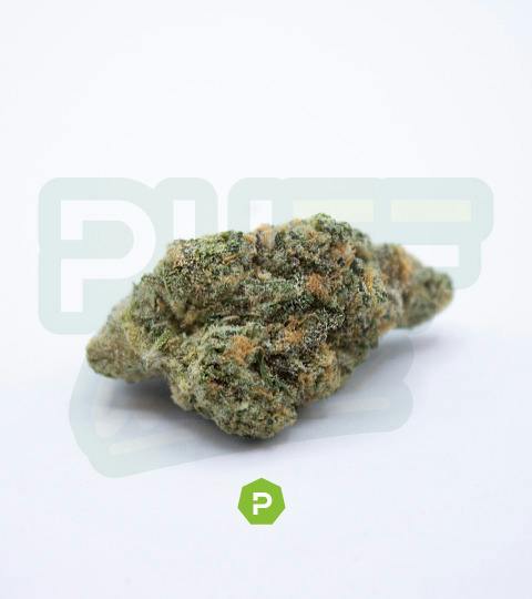 Papi 41 | Flower | 1g