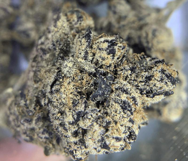 Galactic Runtz | Flower | 1g