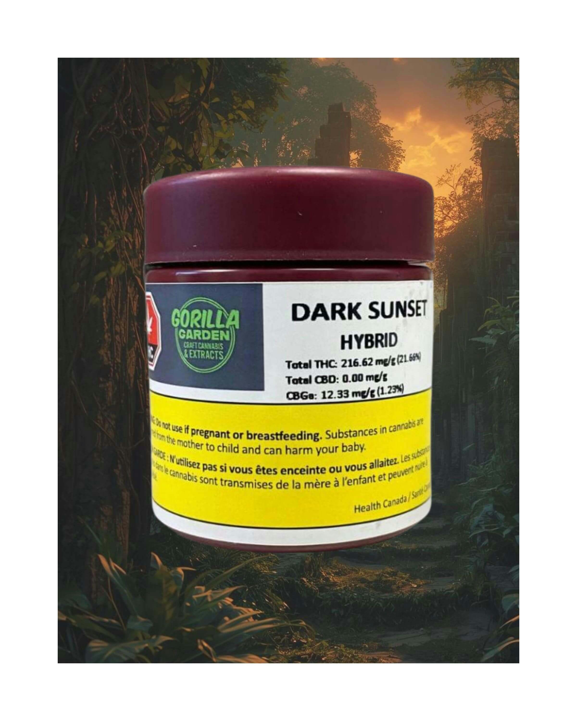 Dark Sunset | Big Buds | 3.5g