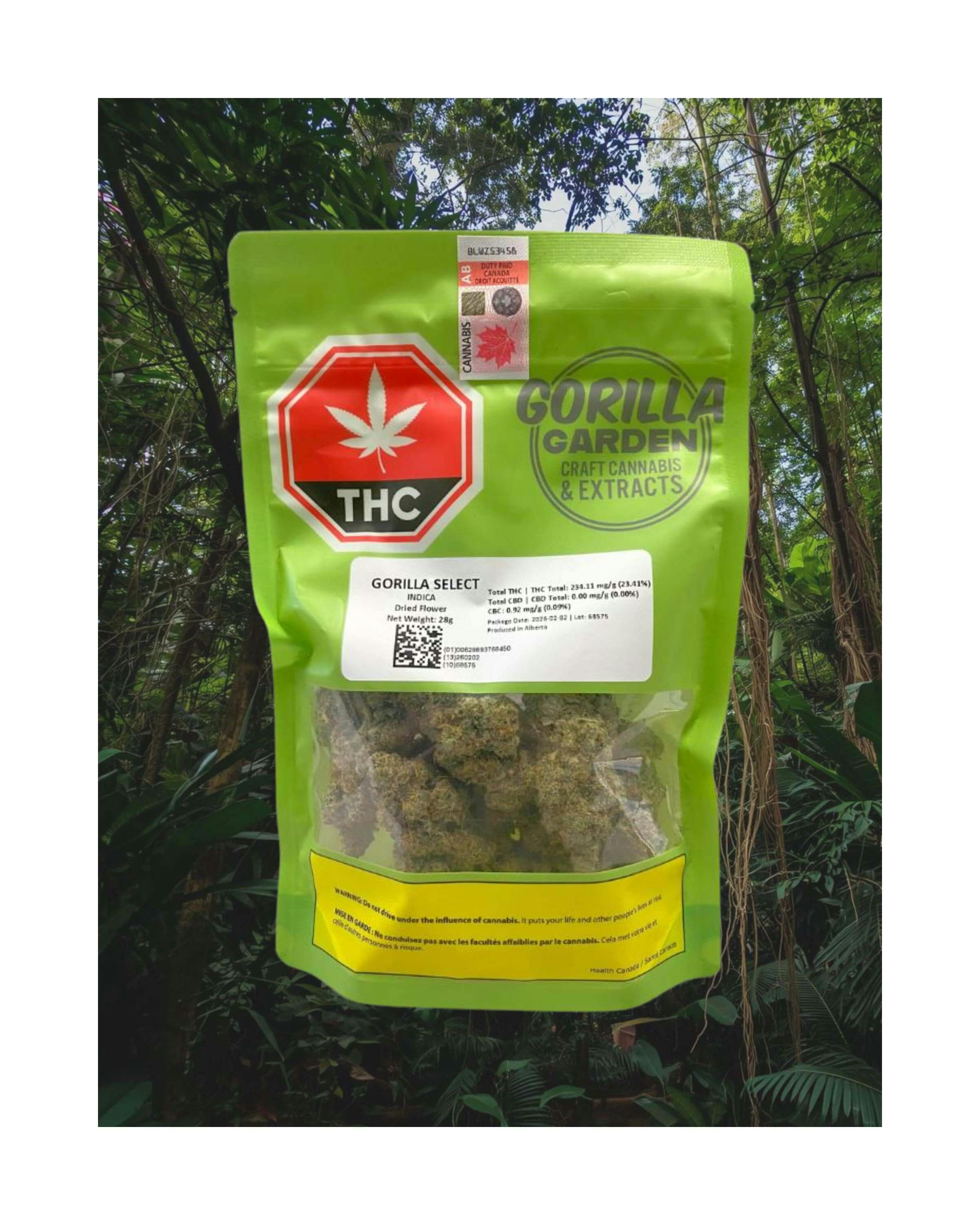 Gorilla Select | Big Buds | 28g
