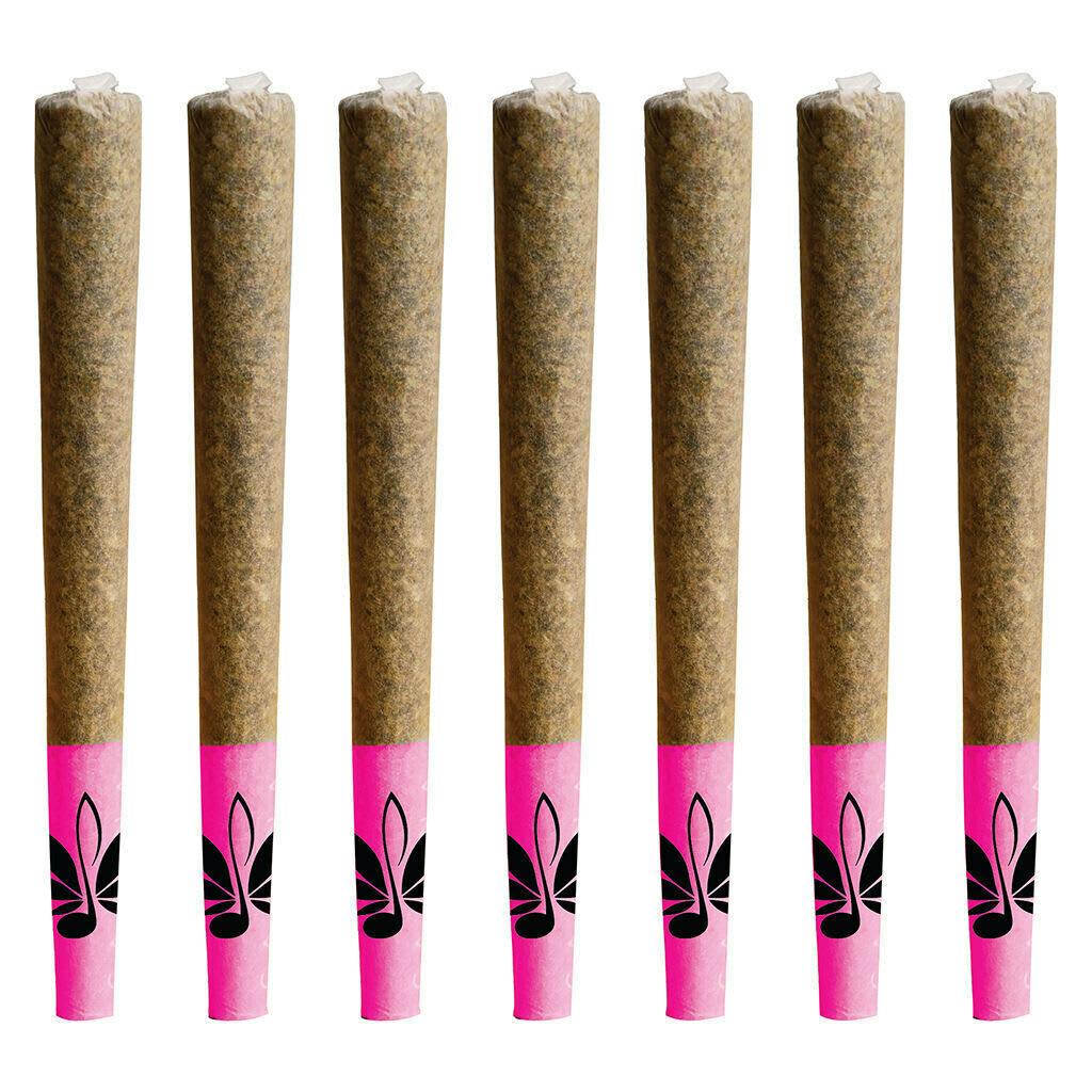 Black Gas | Minis | 0.5g | 10pk