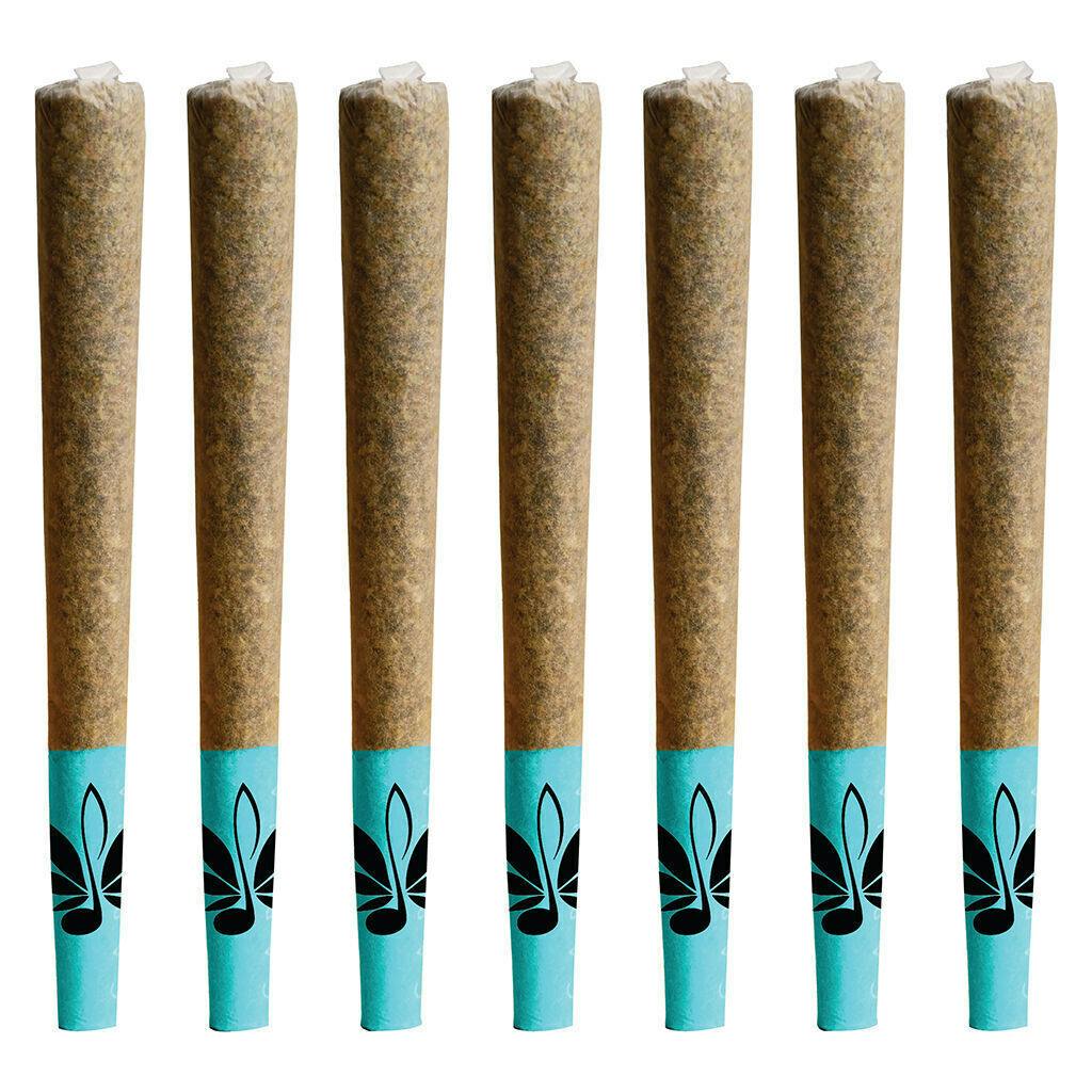 The Blues | Minis | 0.5g | 10pk