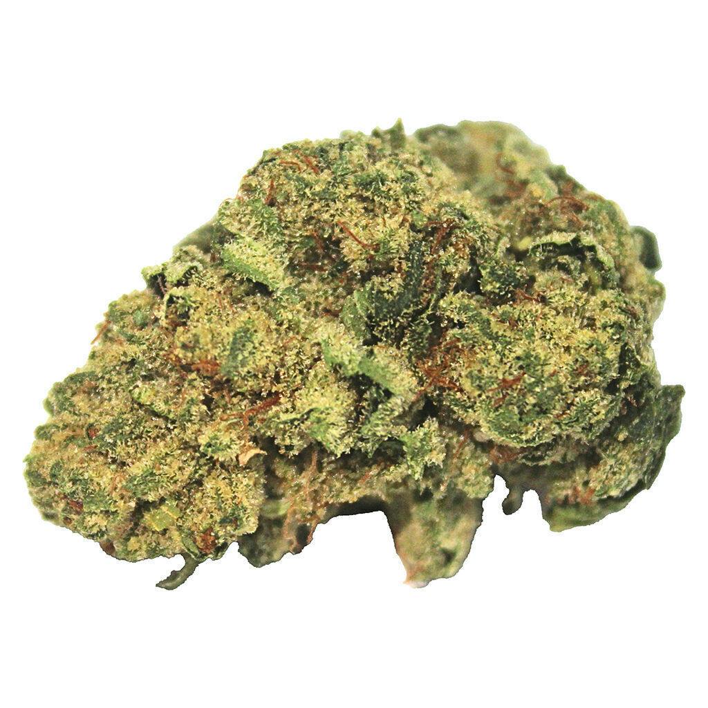Black Gas | Big Buds | 7g