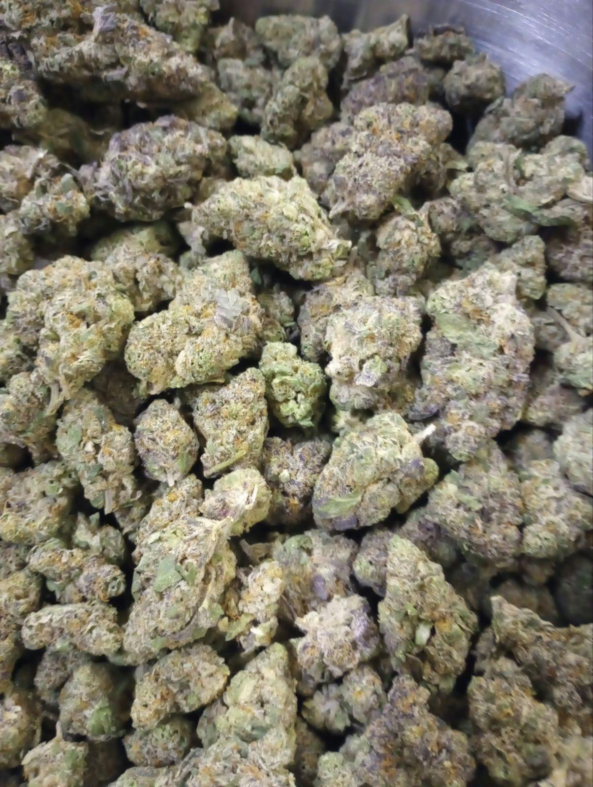 Black Cherry Gelato | 1g