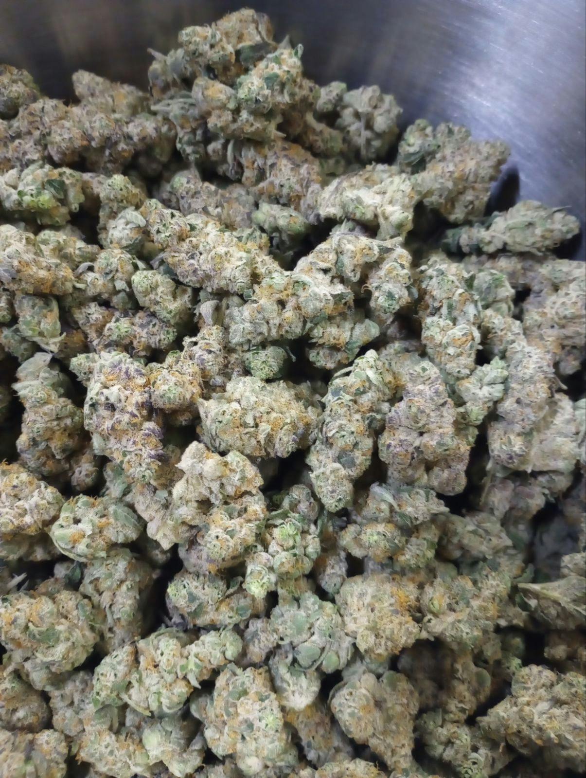 Watermelon Gelato | 1g