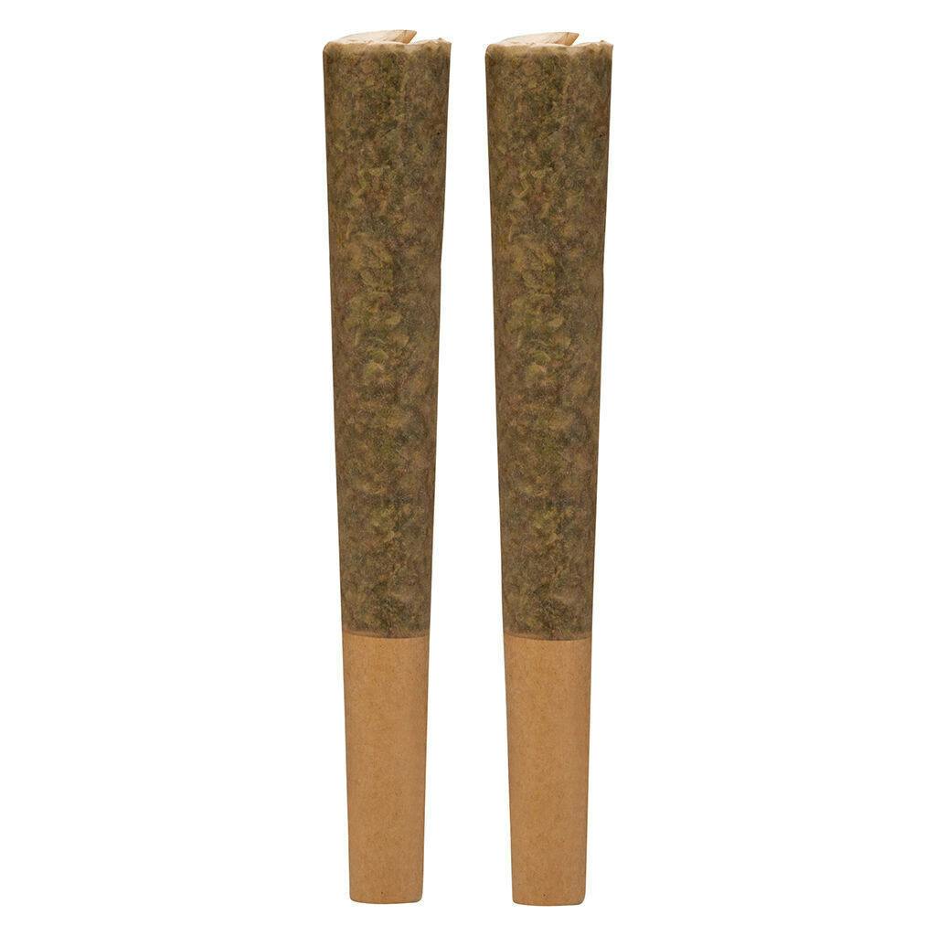 Itsy Bitsy Tipsy Reefer Rolls | Minis | 0.5g