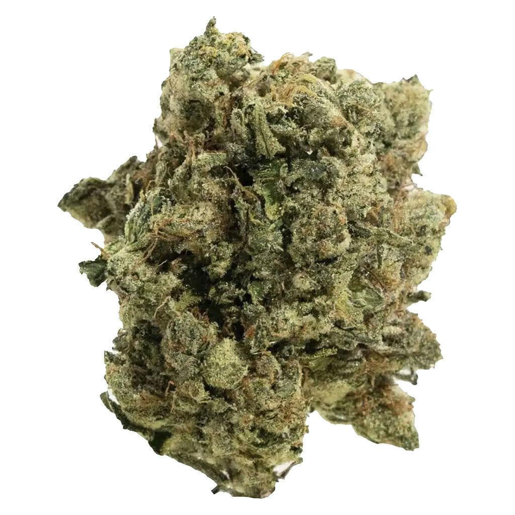 The Handy Harvest | 14g
