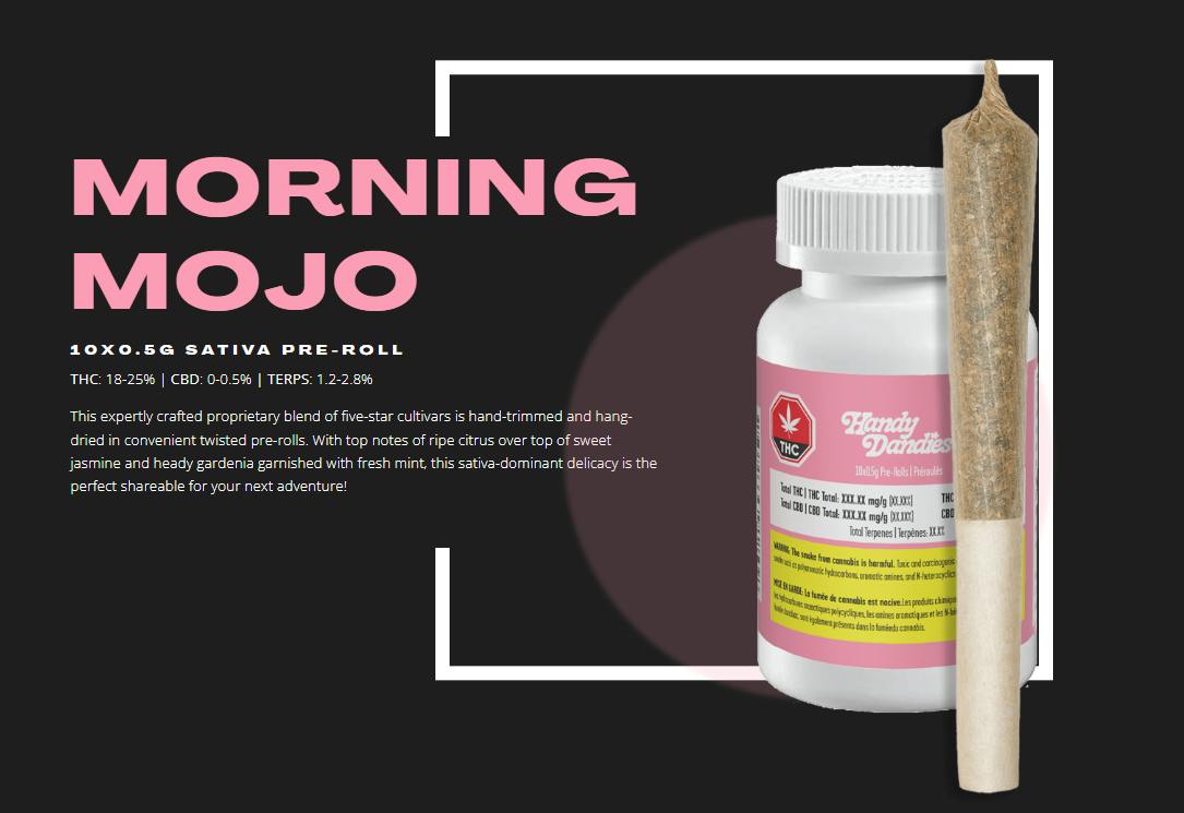 Morning Mojo | Minis | 0.5g | 10pk