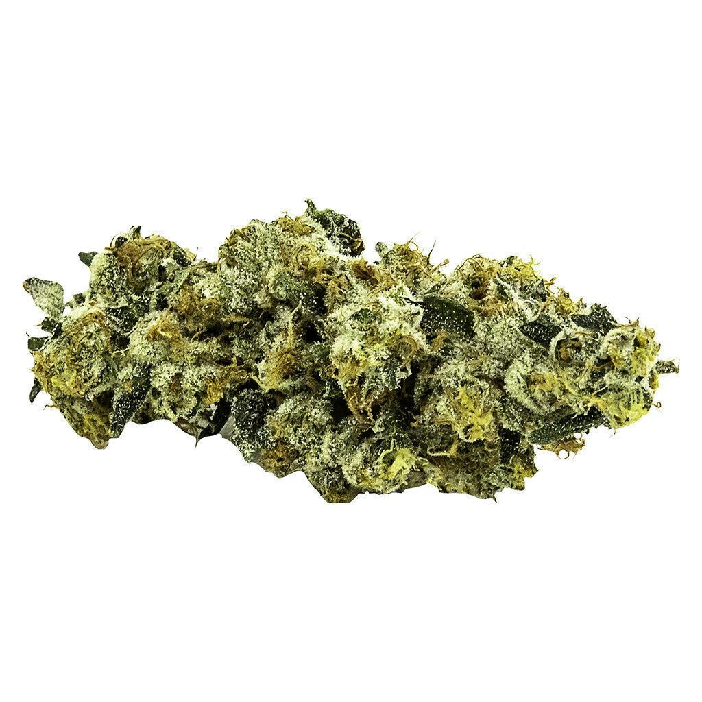 Prairie Oysters | Big Buds | 7g