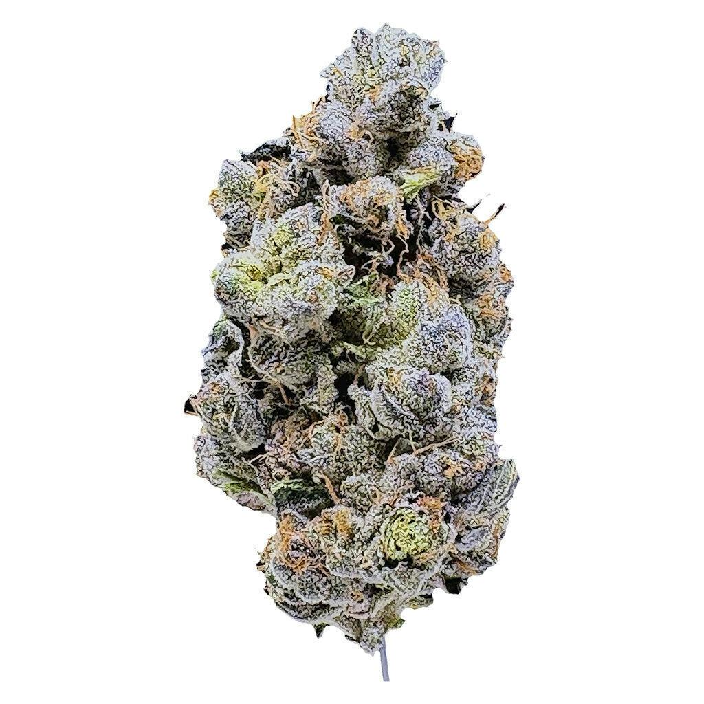 Platinum Blue Gellati | Big Buds | 3.5g