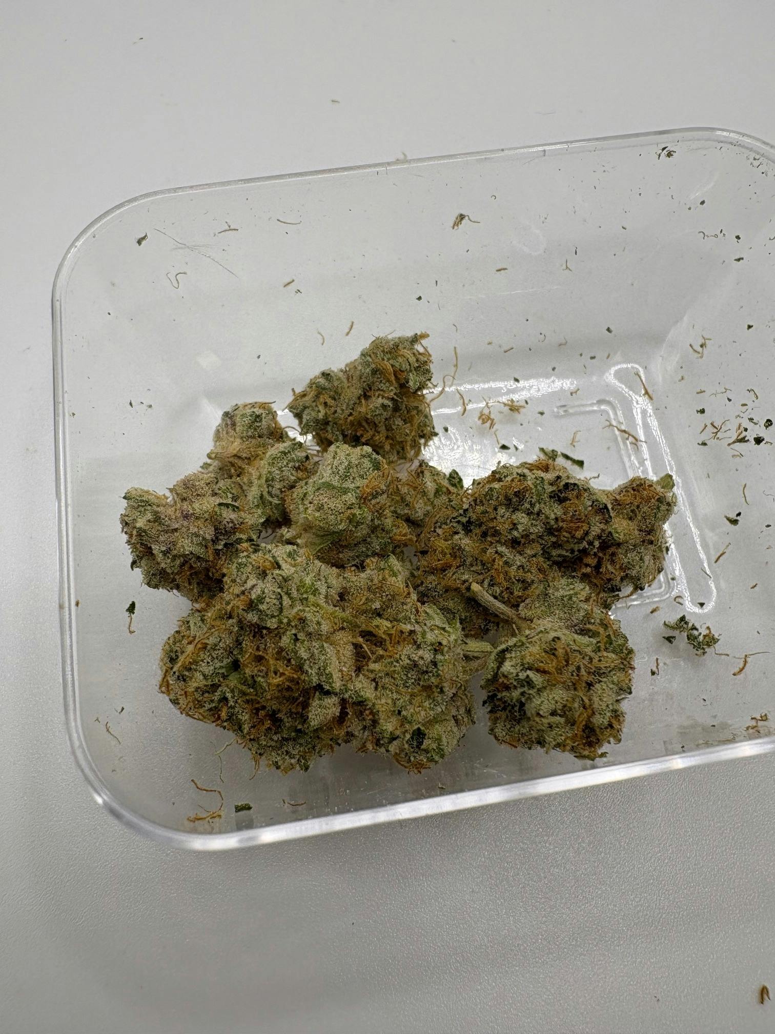 Butter Cream | Big Buds | 3.54g