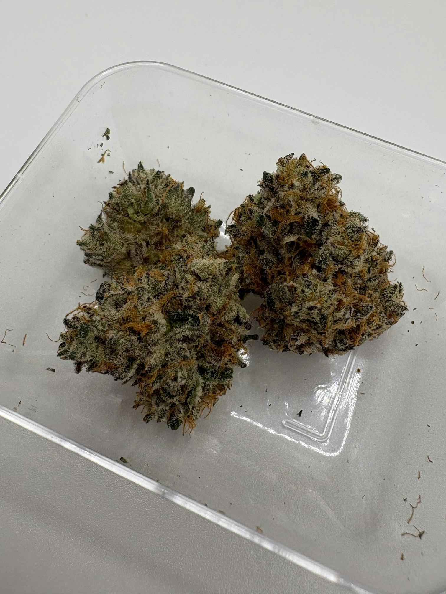 Cherry Payton | 3.5g