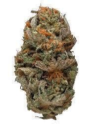 Sunfire Sour | Big Buds