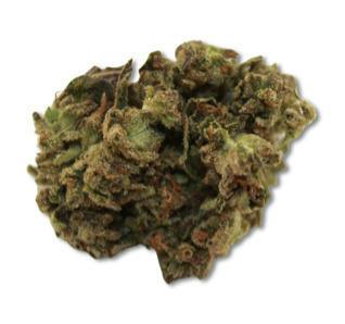 Fatso | Big Buds | 1g