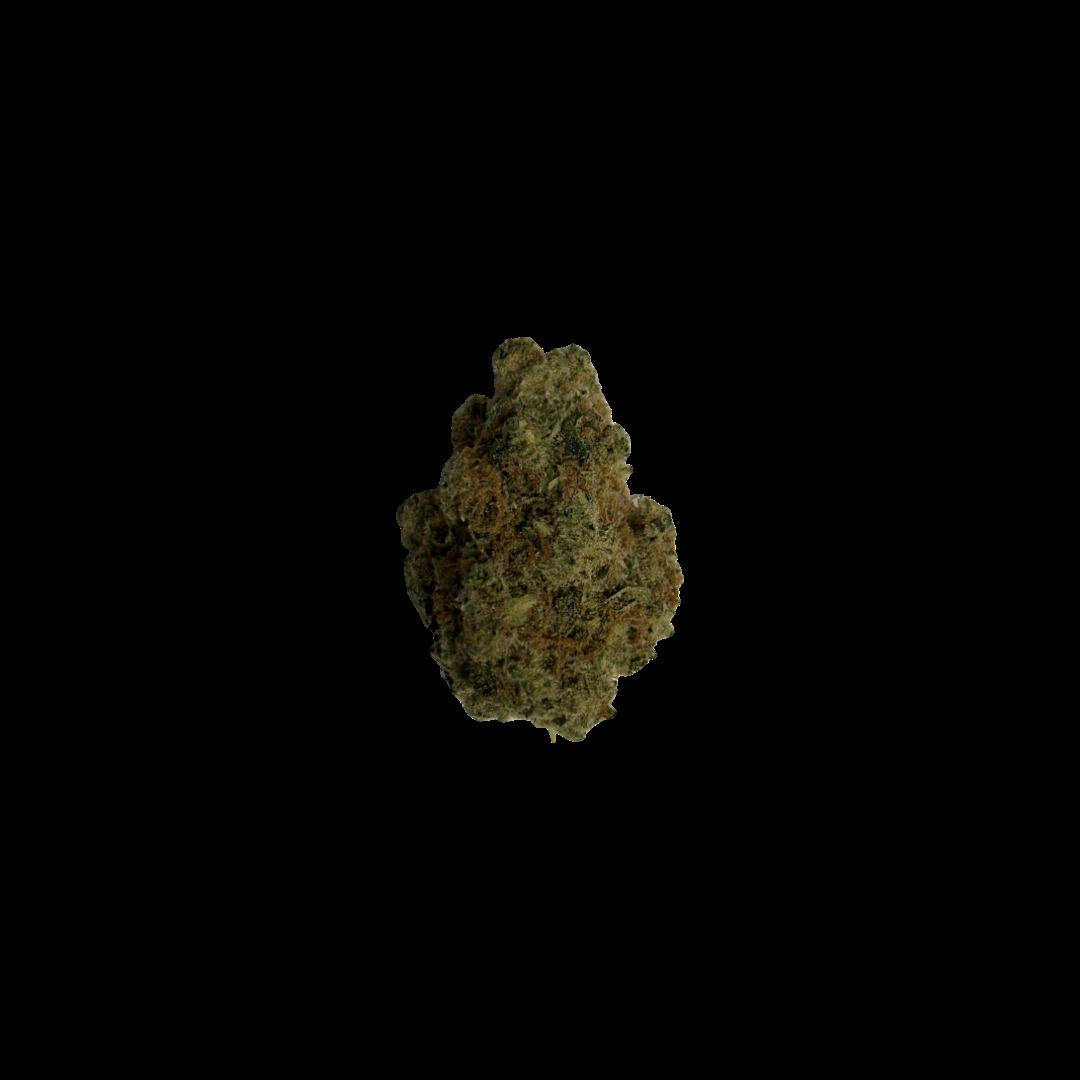 Ypsi Diesel | 1g at PLANET JANE