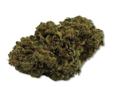 Cookies N Chem | Big Buds | 1g at PLANET JANE