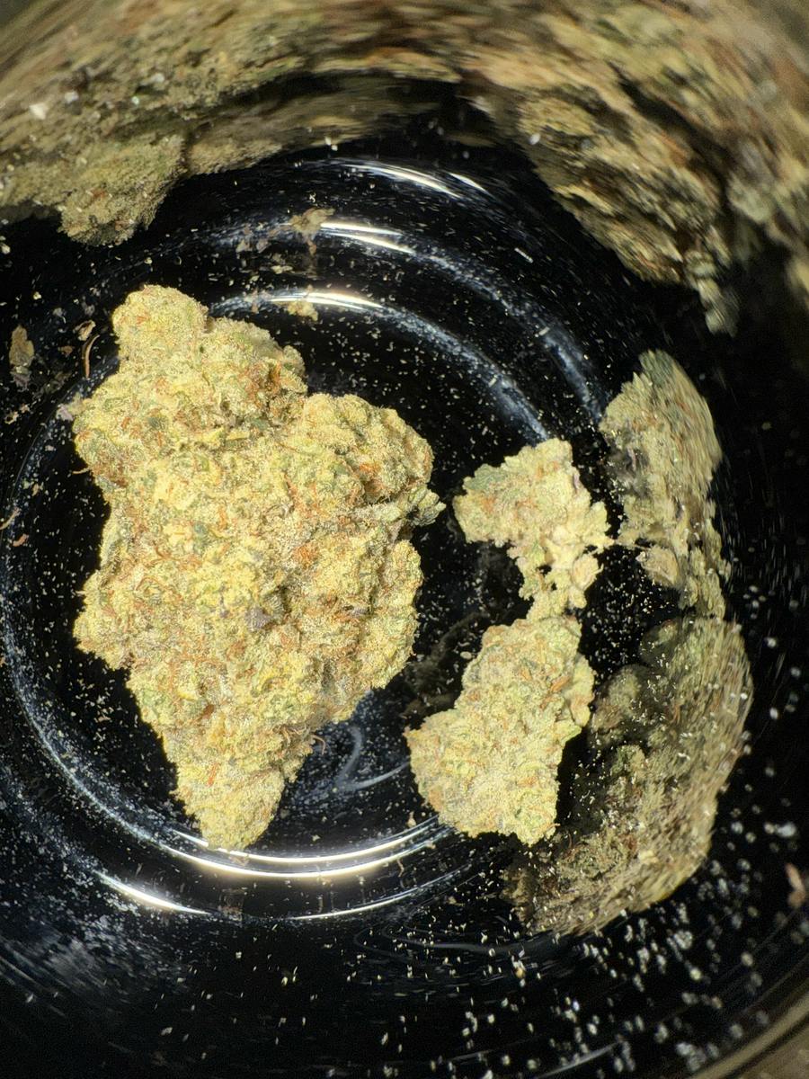 Pave | 28g