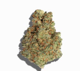 Orange Push Pop | 1g